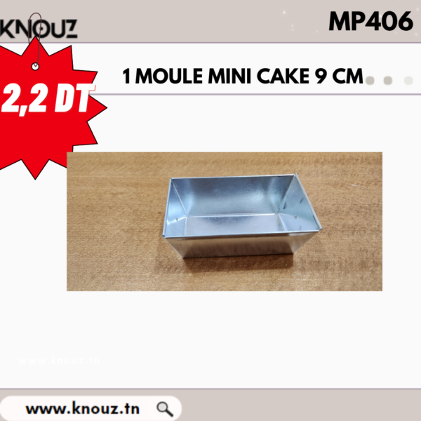 1 MOULE MINI CAKE 9 CM