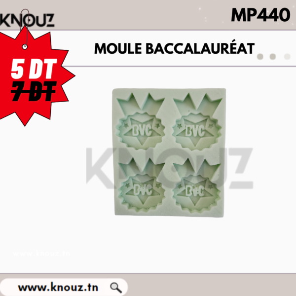 MOULE BACCALAUREAT