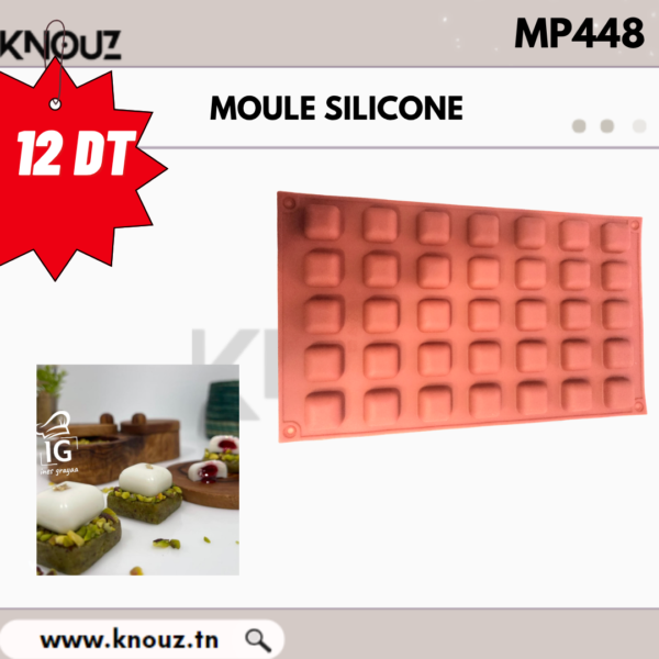 MOULE SILICONE