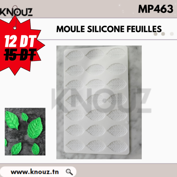 MOULE SILICONE FEUILLES