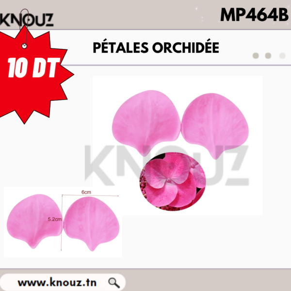 PÉTALES ORCHIDÉE